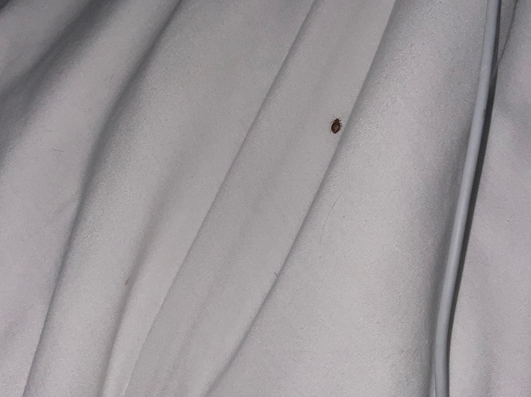 London Travel Inn主图