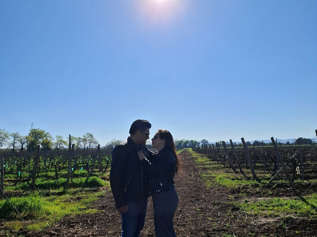 Viña Terranoble-San Clemente必去景点