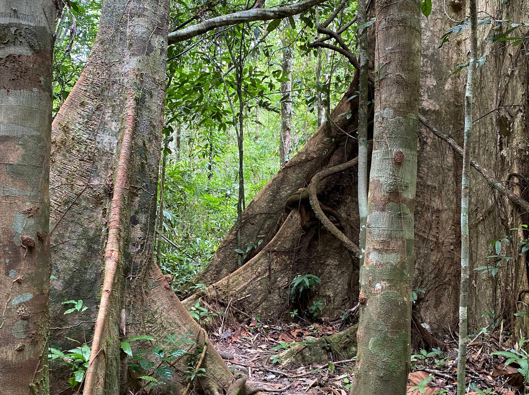 Si Phang Nga National Park-攀牙必去景点