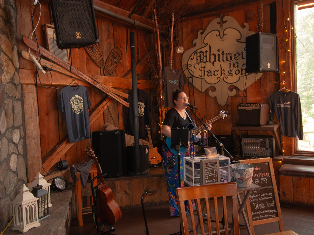 杰克逊酒店住宿-Whitneys Inn at Black Mountain