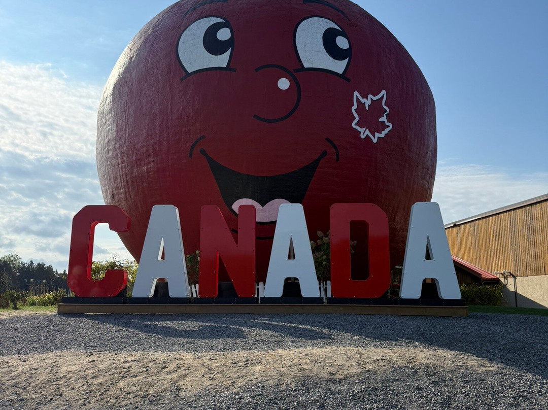 The Big Apple-Colborne必去景点