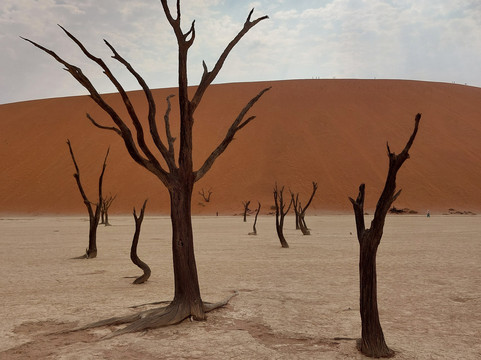 Wild Cherry Adventures-温德和克必去景点