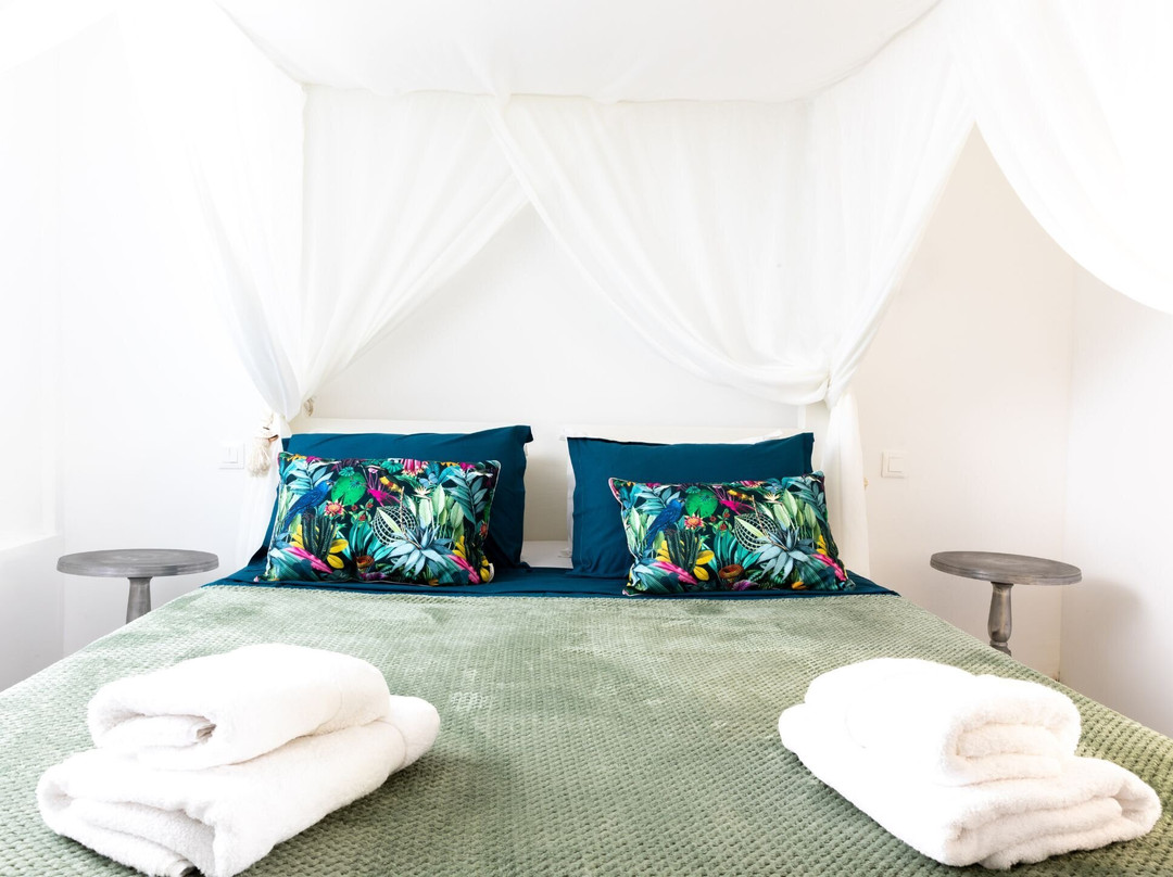 Domaine de la Palmeraie主图