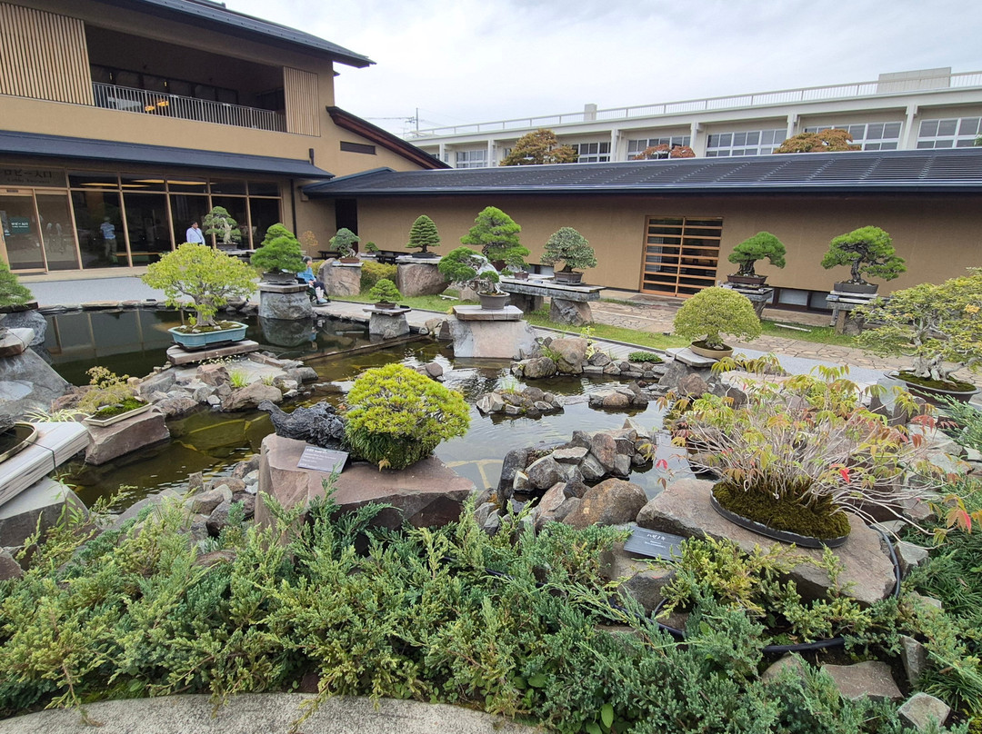 Omiya Bonsai Village-埼玉市必去景点