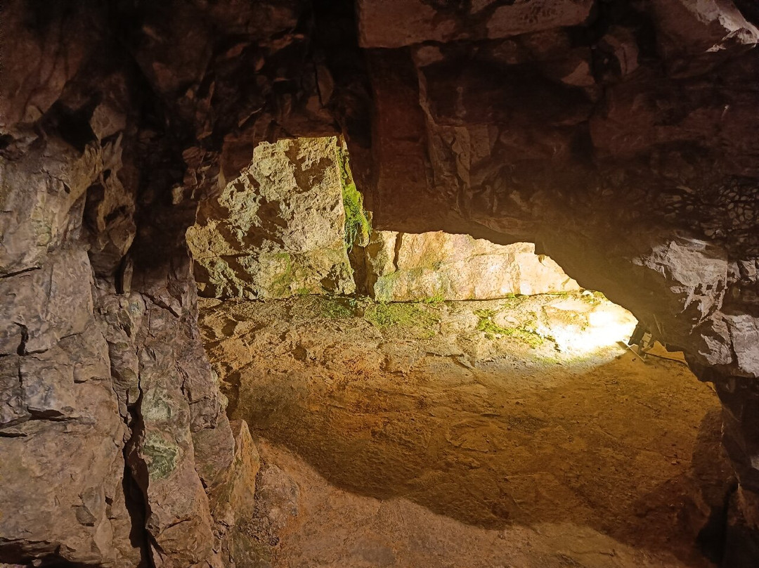 Société des Caves Roquefort - Visite des Caves-Roquefort Sur Soulzon必去景点