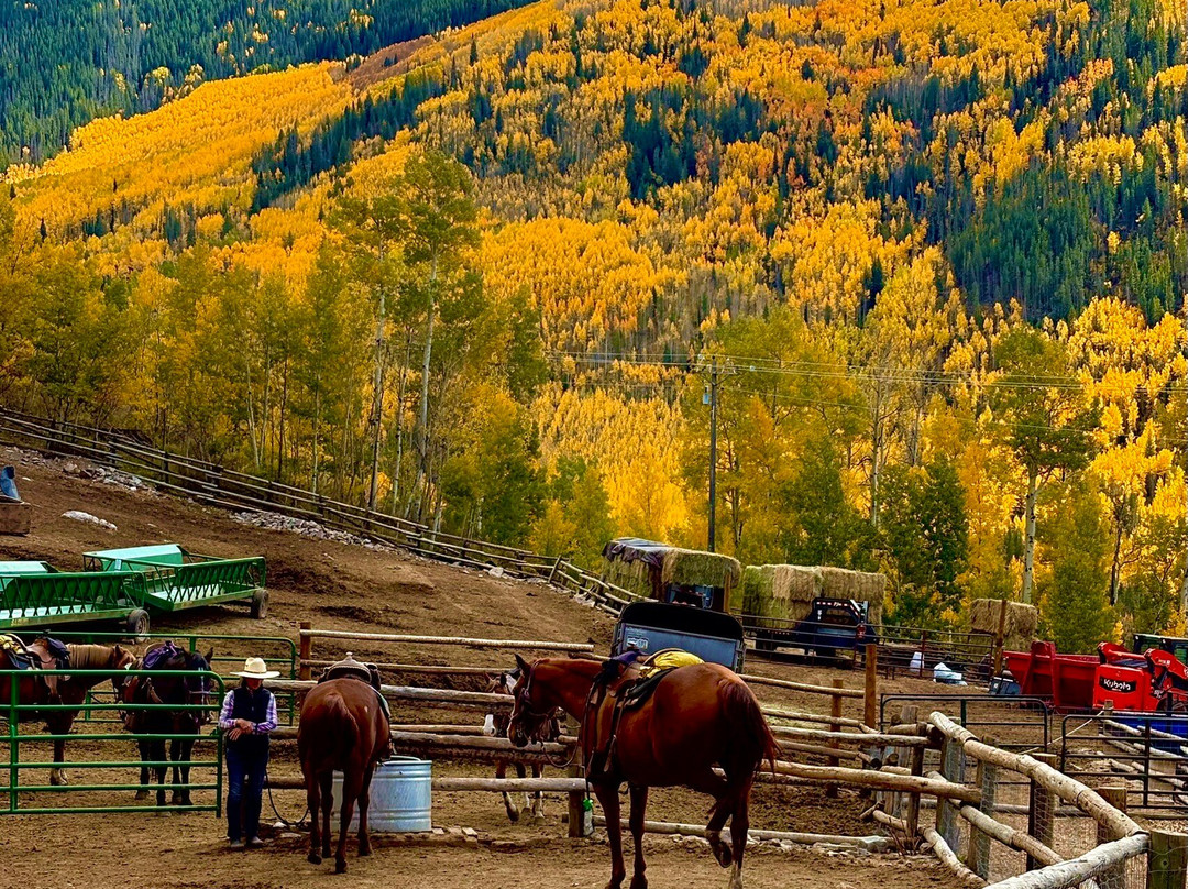 Vail Stables-韦尔必去景点