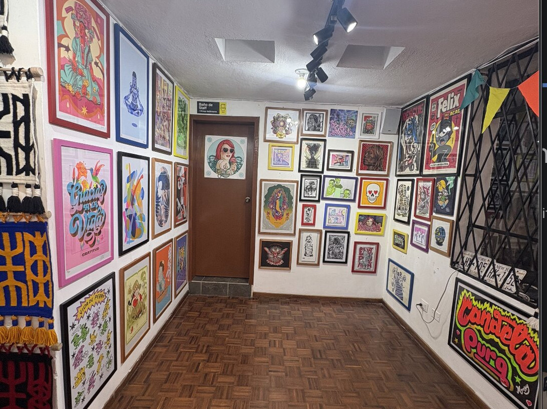 Nudo Street Art Gallery and Tours-基多必去景点