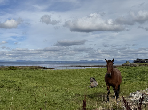 Donegal Chauffeur Travel-多尼戈尔城镇必去景点