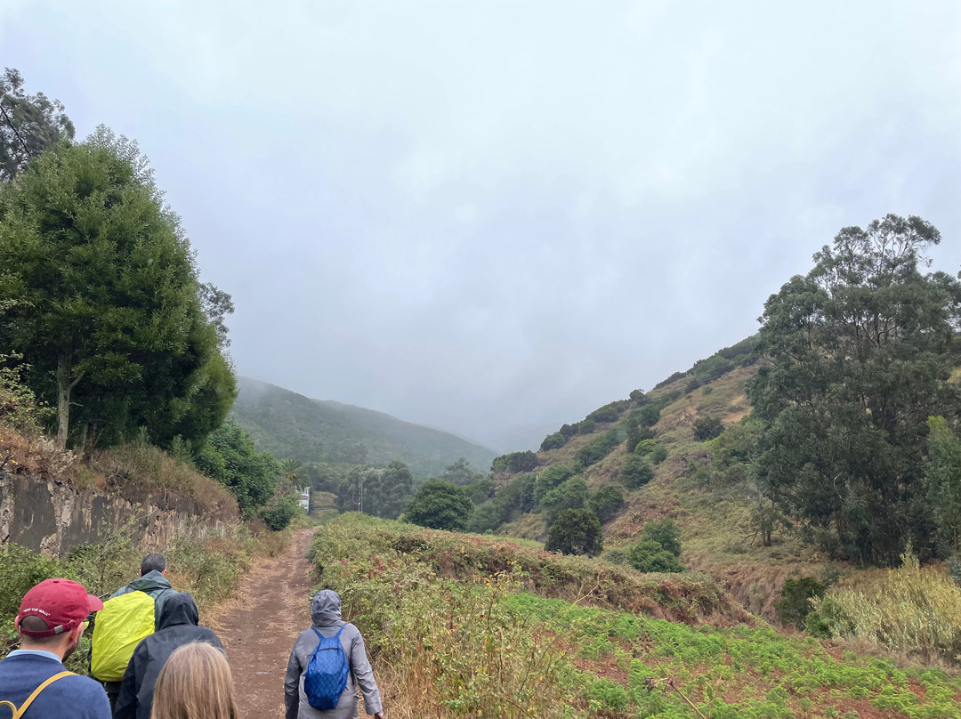 Sendero de los Sentidos-圣克鲁斯-德特内里费必去景点