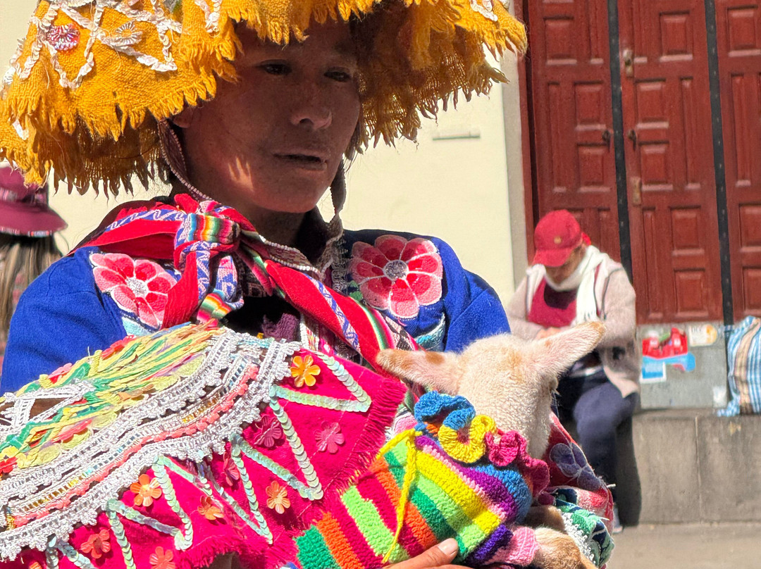 PatagoniaShorex - Tours-巴拉斯港必去景点