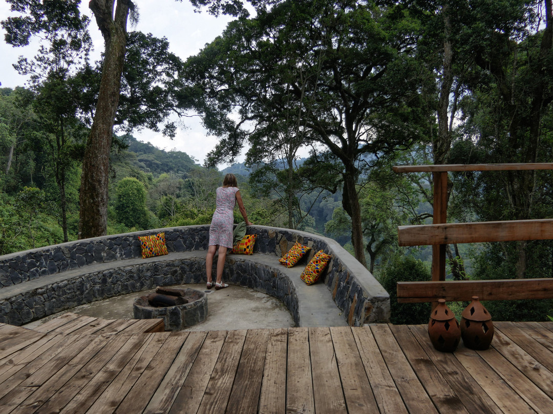 Nyungwe National Park - Rwanda-Western Province必去景点