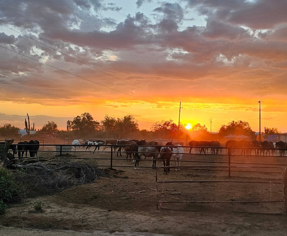MacDonald's Ranch-斯科茨代尔必去景点