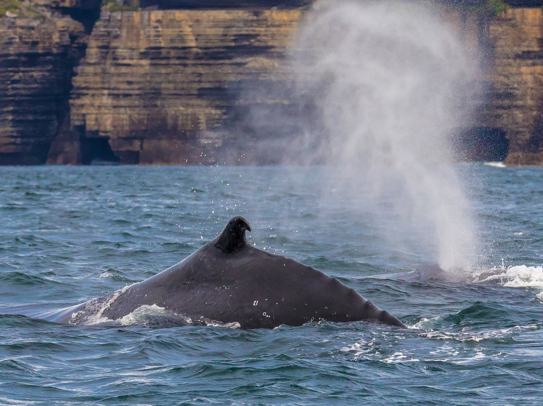 Woebegone Freedive-赫斯基森必去景点