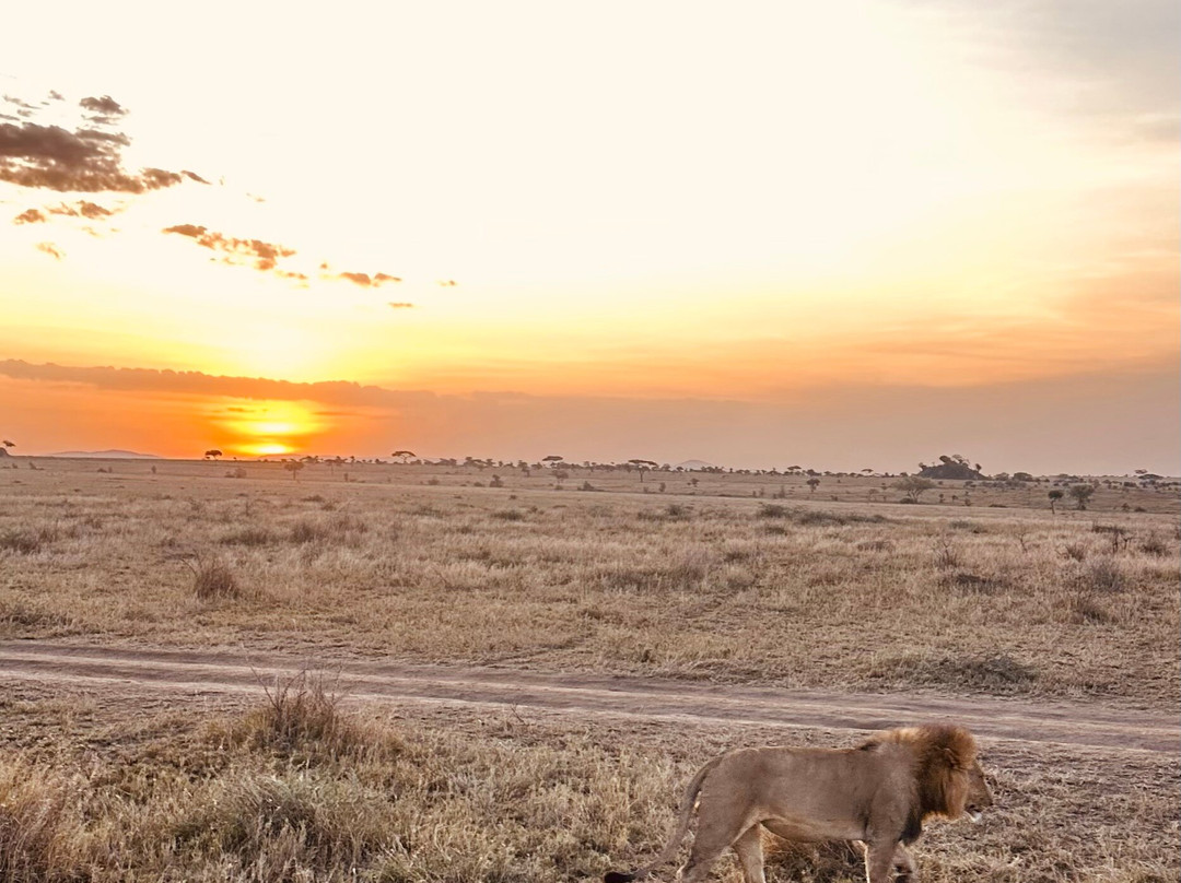 Muhi Tours And Safaris-Mbuzini必去景点