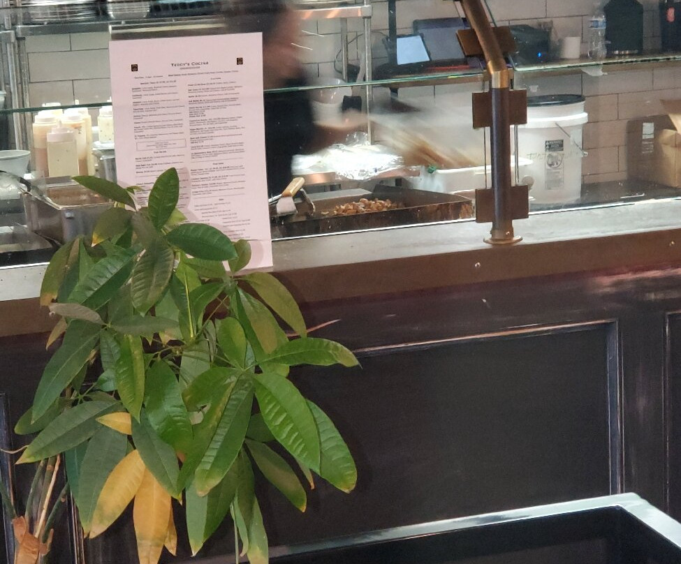 Fairfield by Marriott Inn & Suites Milwaukee Airport主图