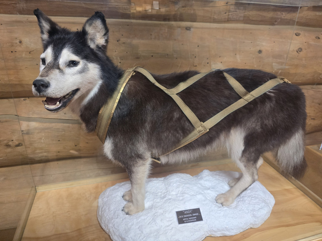 Iditarod Headquarters-瓦西拉必去景点