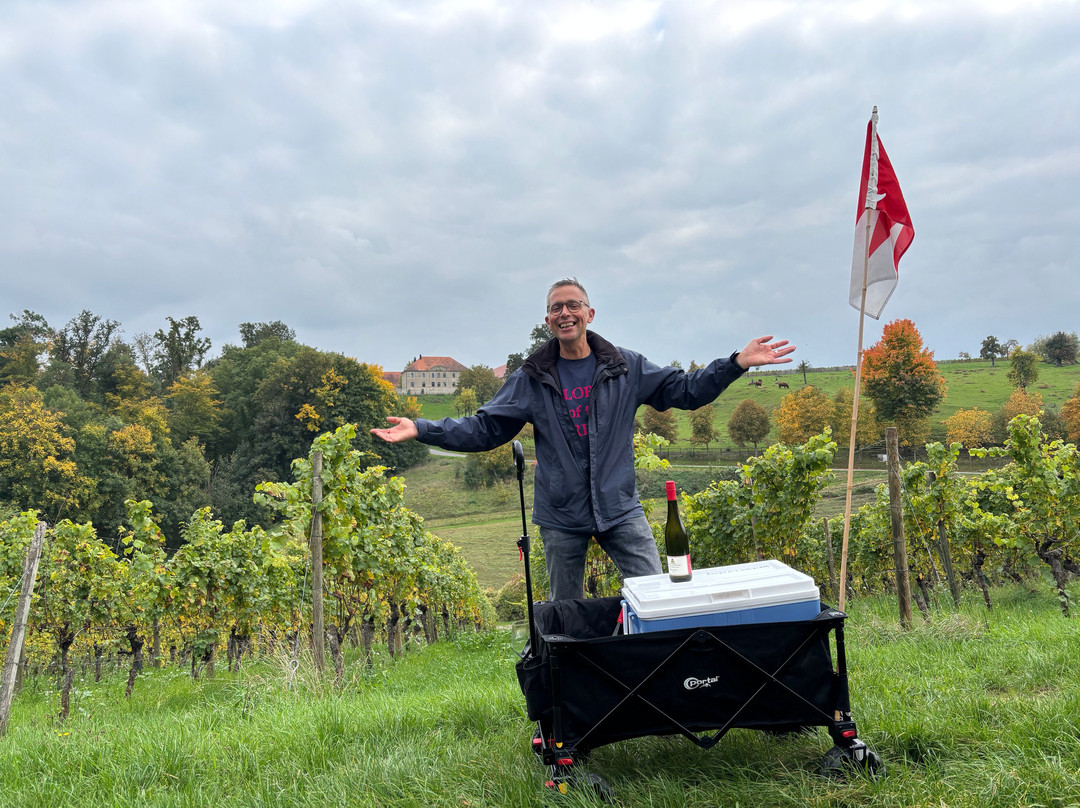 Weinspaziergang-维尔茨堡必去景点