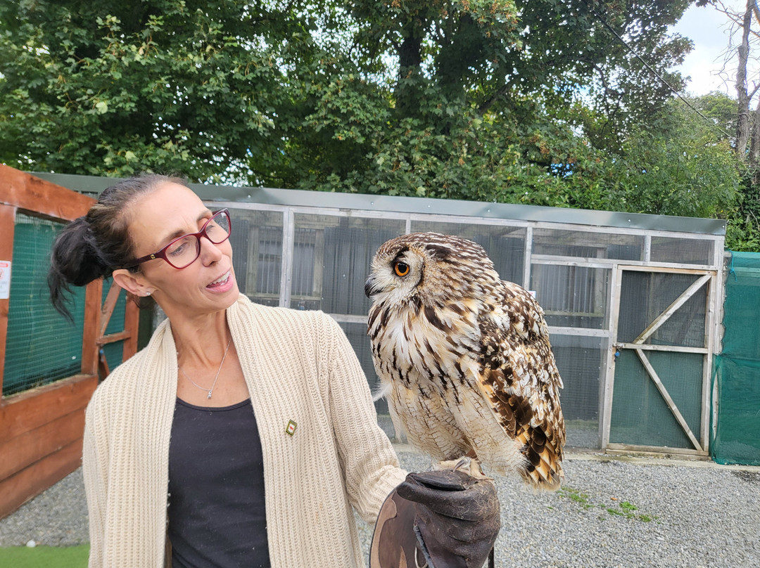 Dublin Falconry-Castleknock必去景点