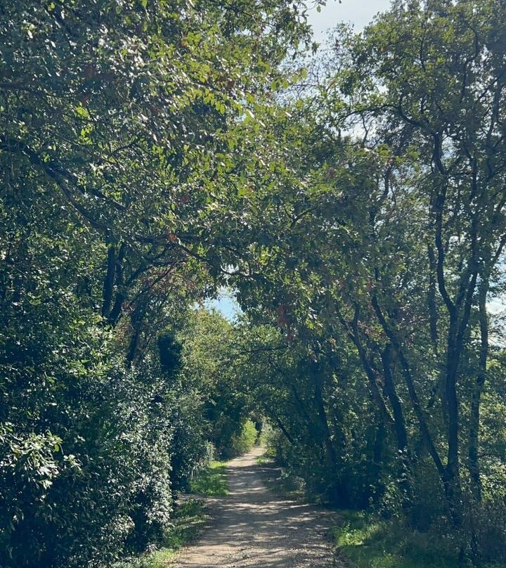 Tours in Tuscany-Murlo必去景点