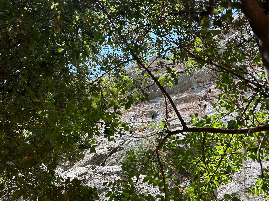 The Yogiventures-贝鲁特必去景点