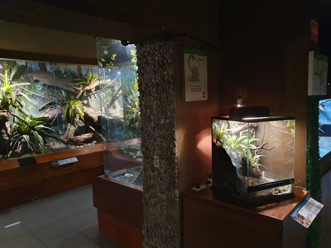 Vivarium de Quito-基多必去景点