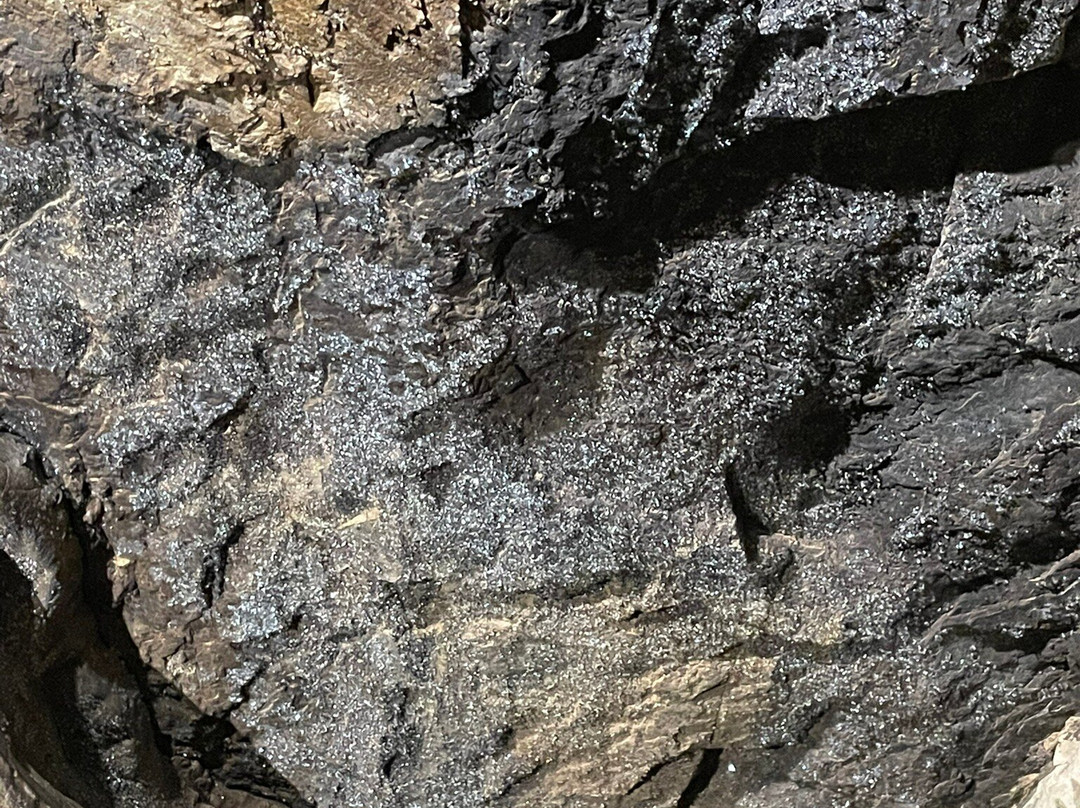 Laurel Caverns-法明顿必去景点