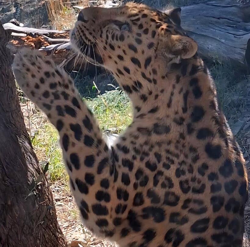 EcoZonia - Parc Animalier-Cases de Pene必去景点