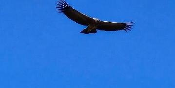 Mirador Cruz del Condor-Cabanaconde必去景点