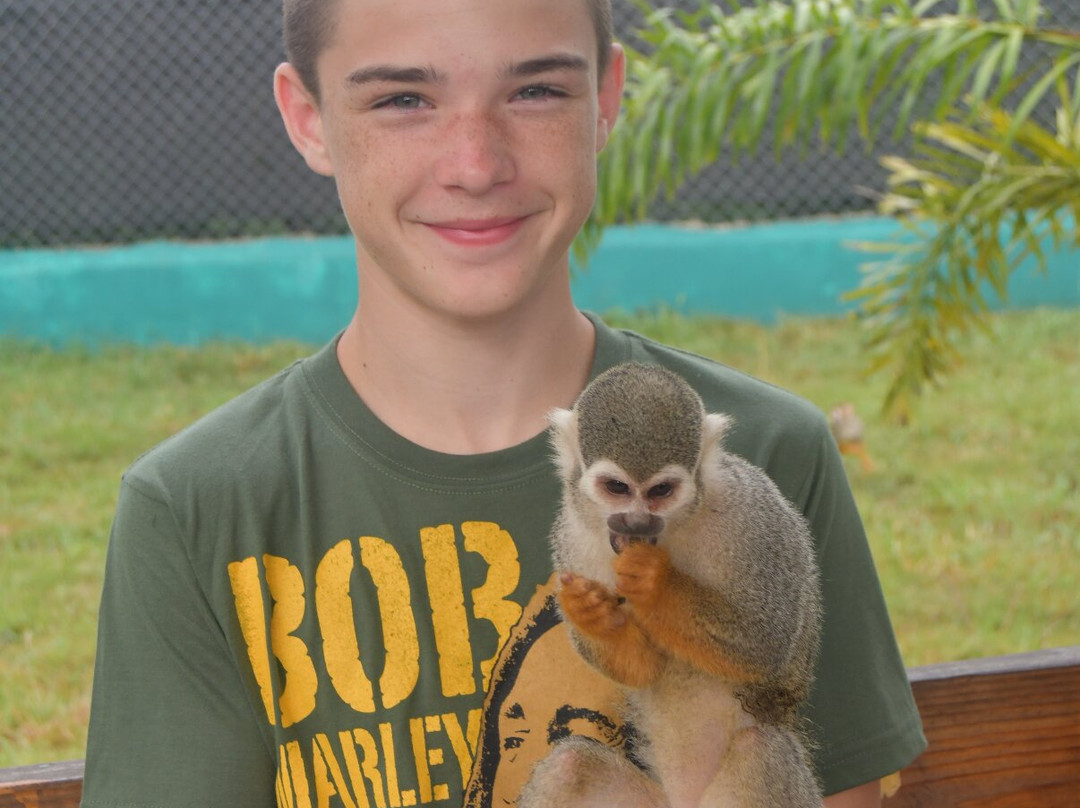 Monkey Home Puerto Plata-普拉塔港必去景点