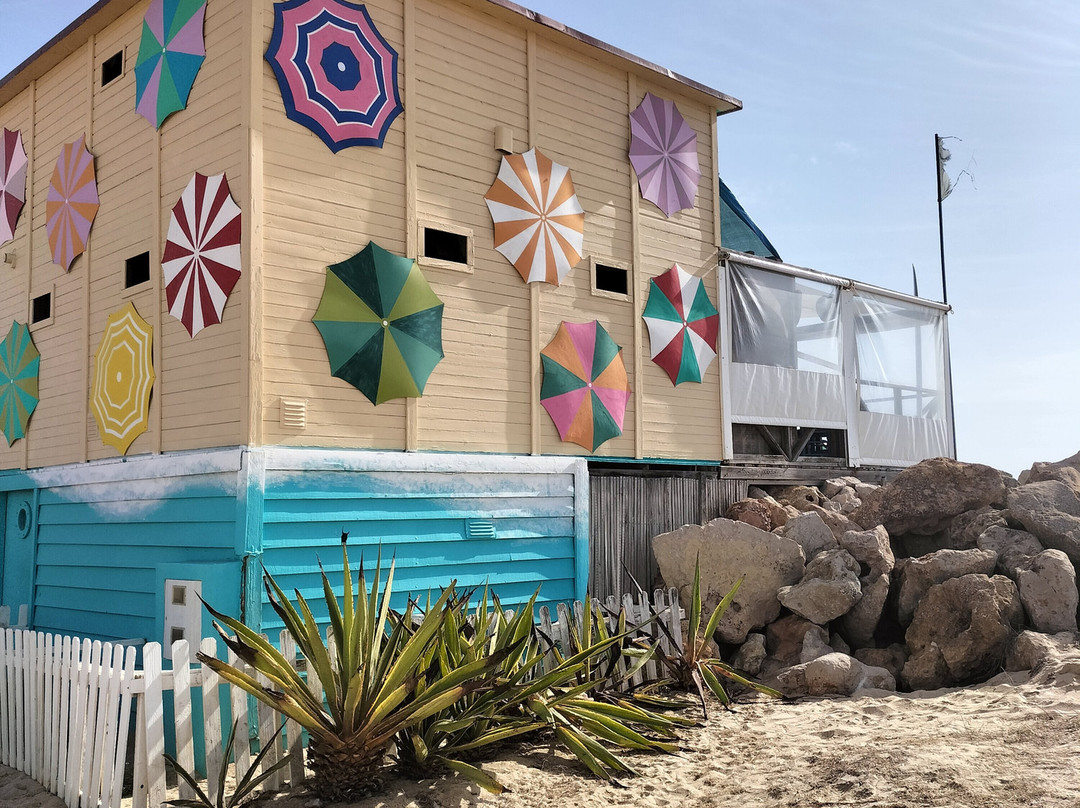 ODYSSEY - Ria Formosa Boat Tours-奥良必去景点