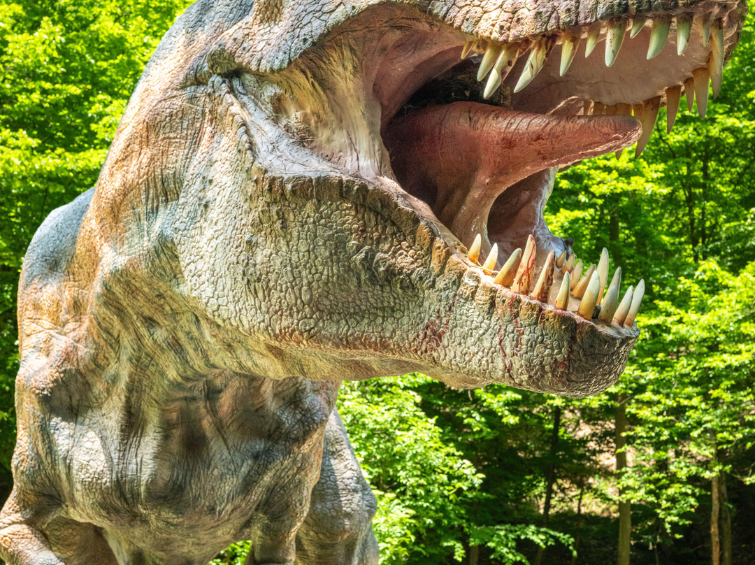 DinoPark Košice-科希策必去景点