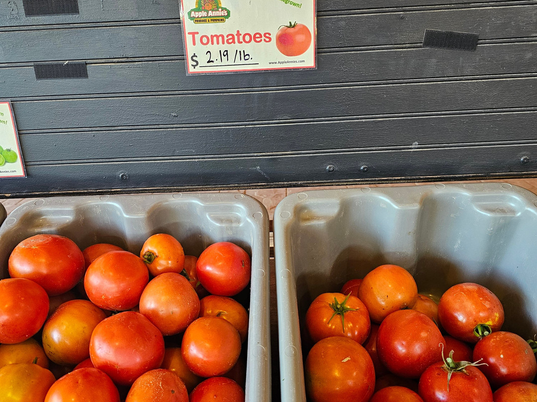 Apple Annie's Orchard-Willcox必去景点