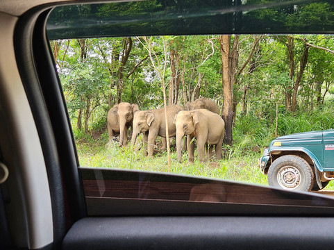 Lanka Budget Tours-康提必去景点