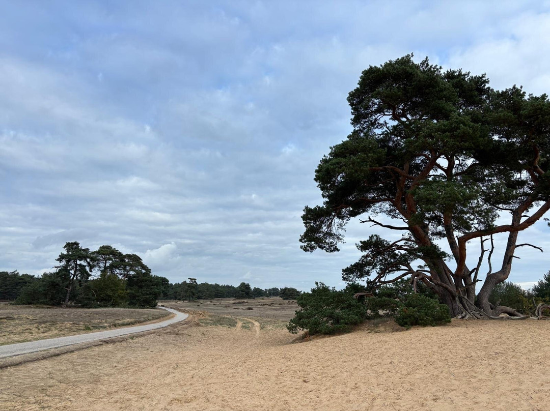 De Hoge Veluwe National Park-Gelderland Province必去景点
