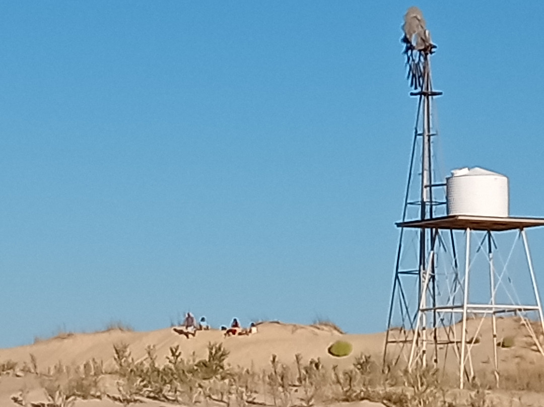 Monahans Sandhills State Park-Monahans必去景点