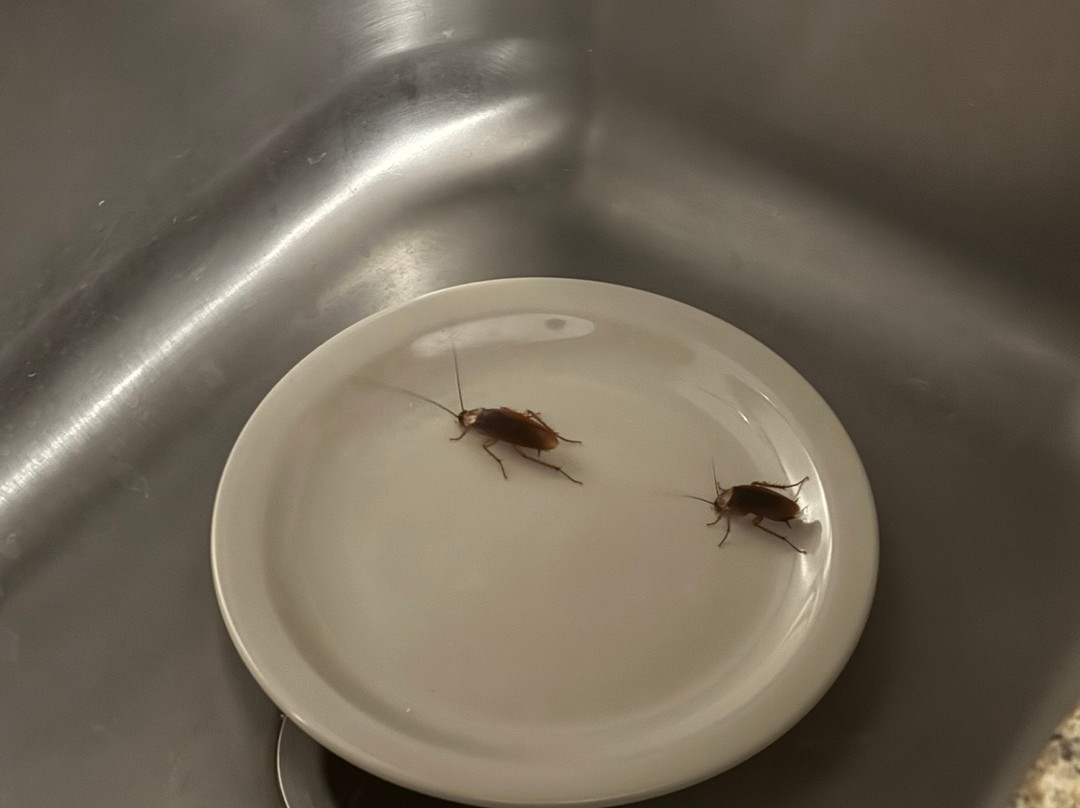 Hampton Inn & Suites El Paso-Airport主图