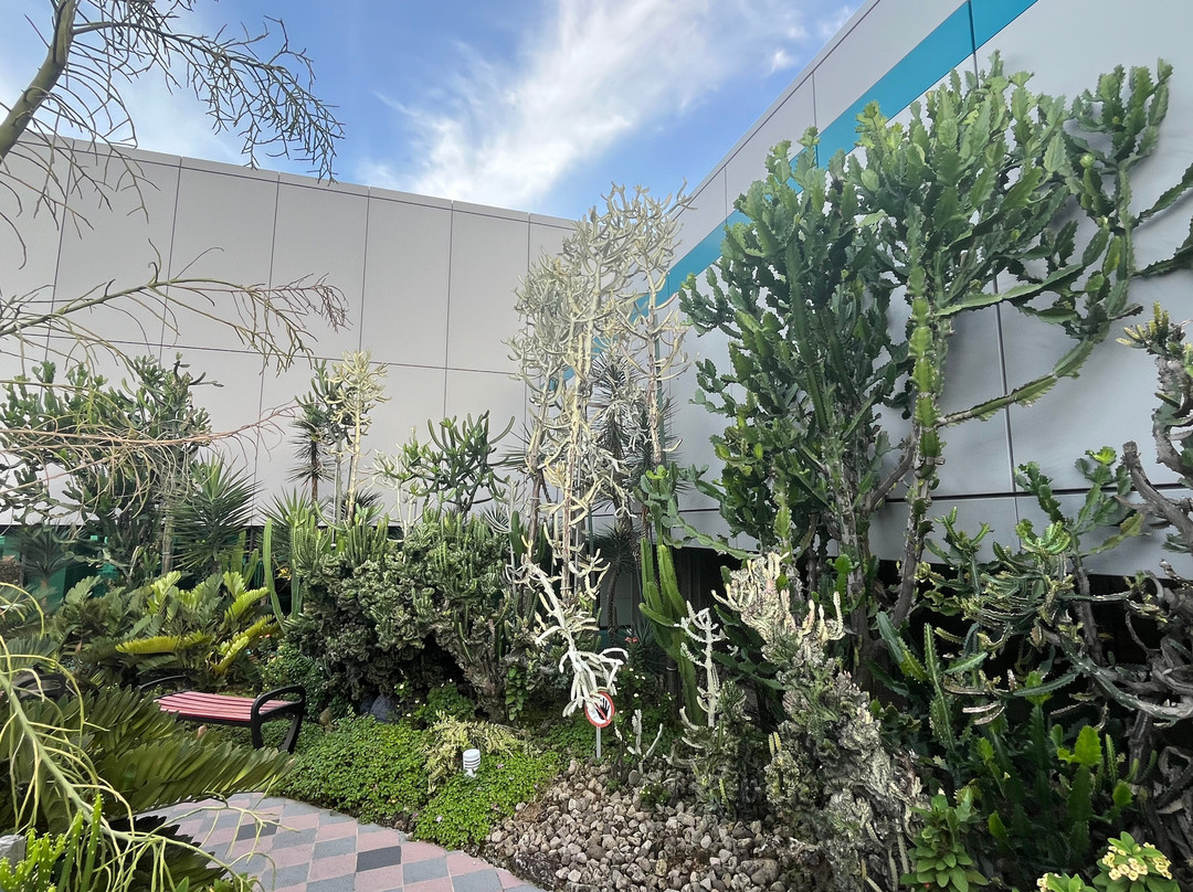 Cactus Garden-新加坡必去景点