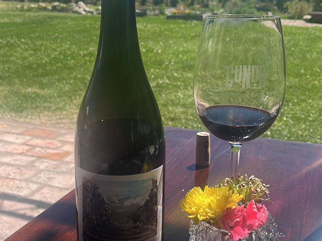 Cundo Altamira-La Consulta必去景点