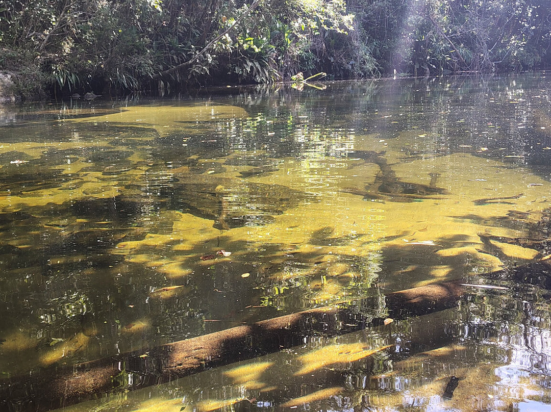 Parque das Neblinas-Mogi das Cruzes必去景点