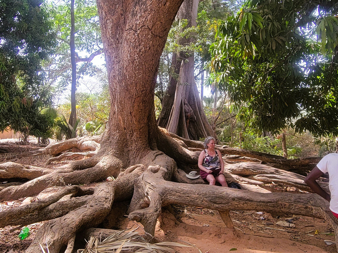 Casamance Au Present-济金绍尔必去景点