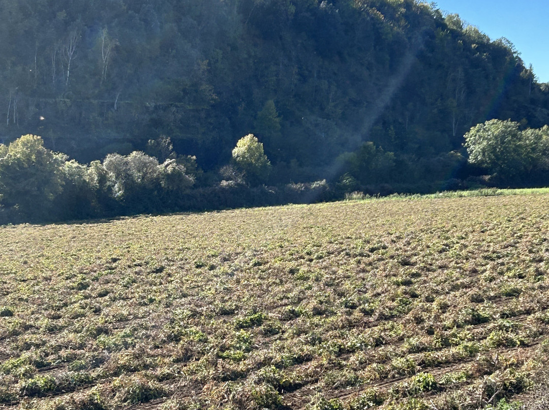 La Fageda d'en Jorda-Santa Pau必去景点