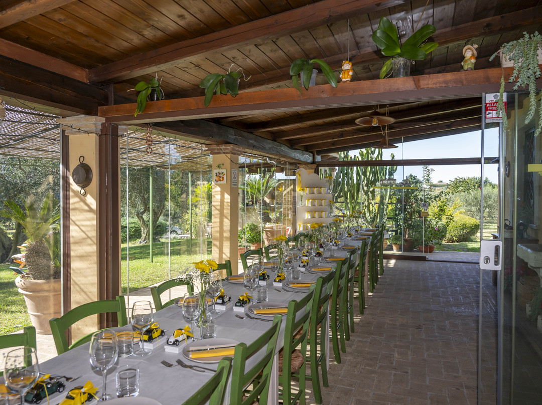 Agriturismo Casa Degli Ulivi主图