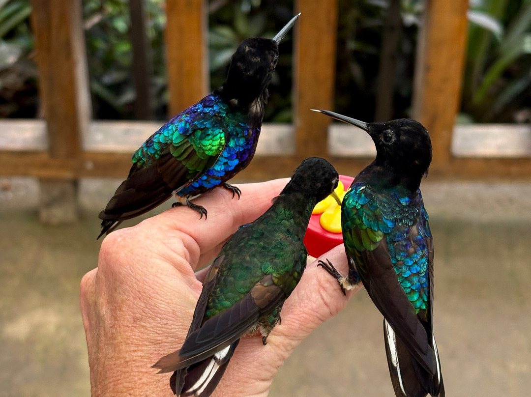 Costa Rica Focus-圣何塞必去景点