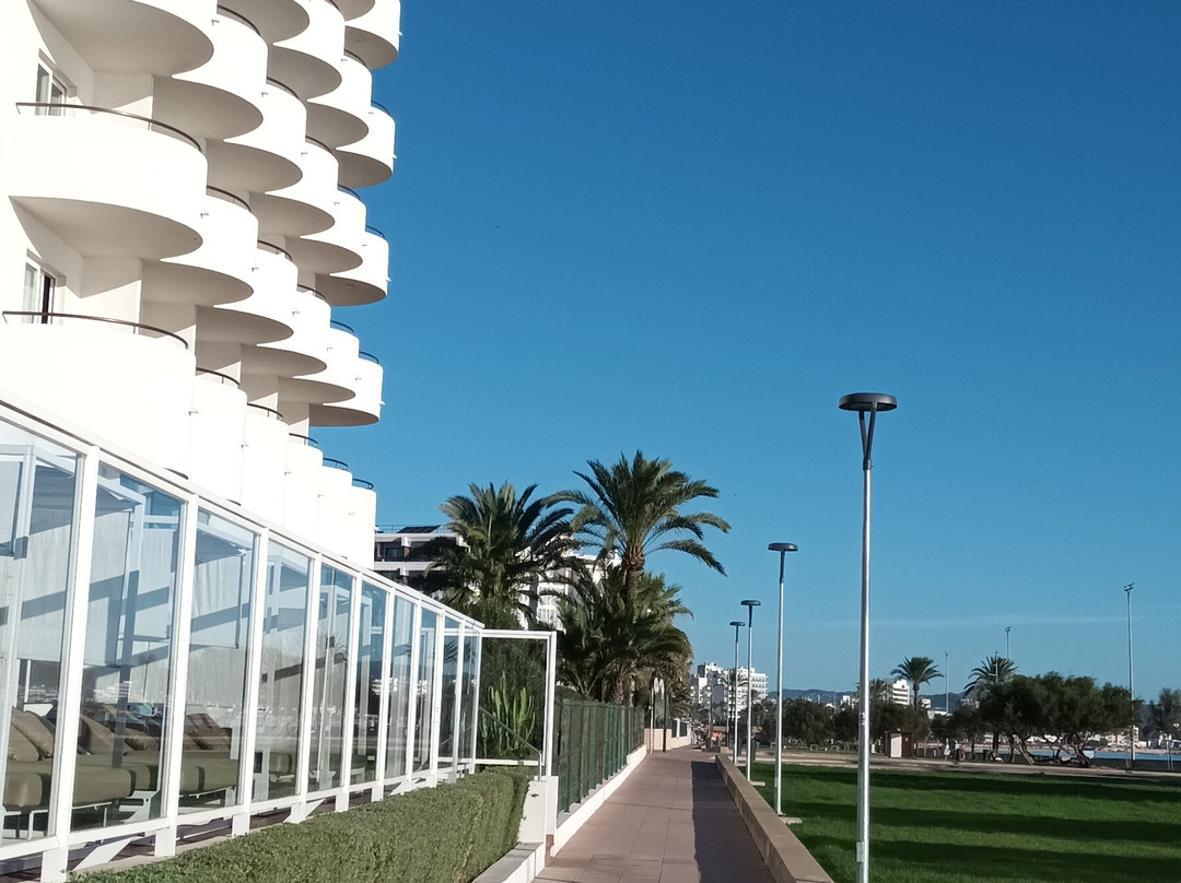 Hipotels Hipocampo Playa主图