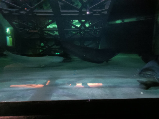 Aquarium De Touraine-Lussault-sur-Loire必去景点