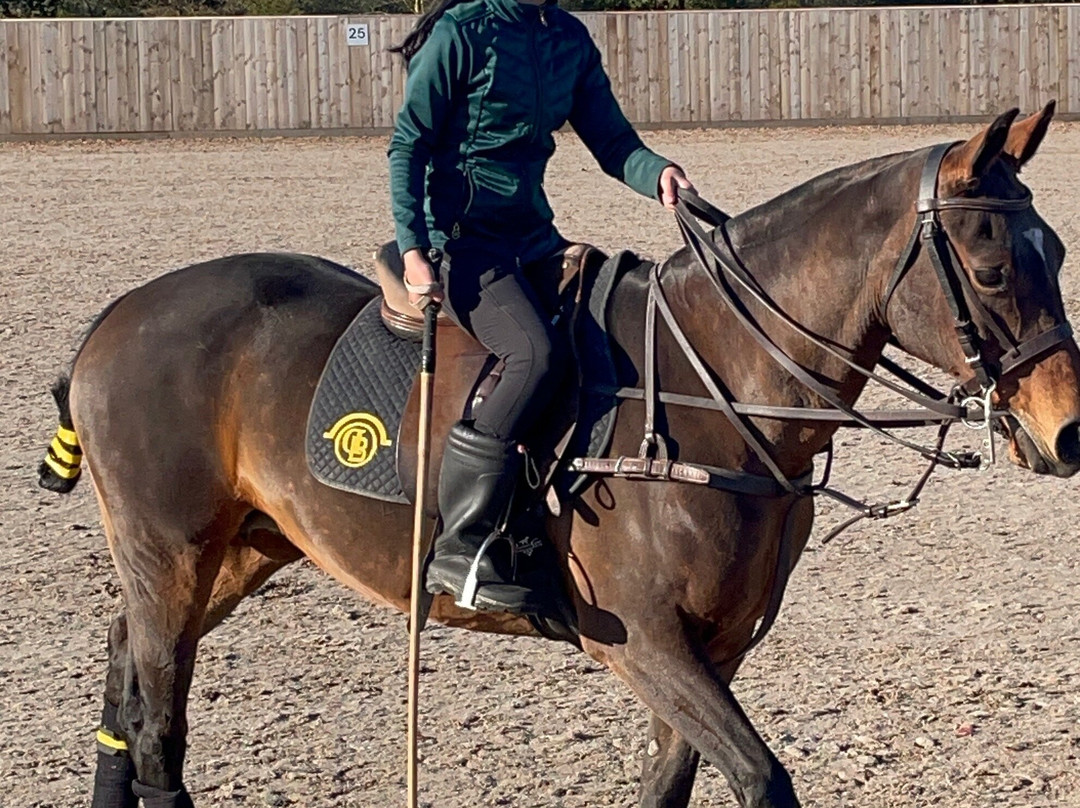 Dart Polo Academy-Gainsborough必去景点