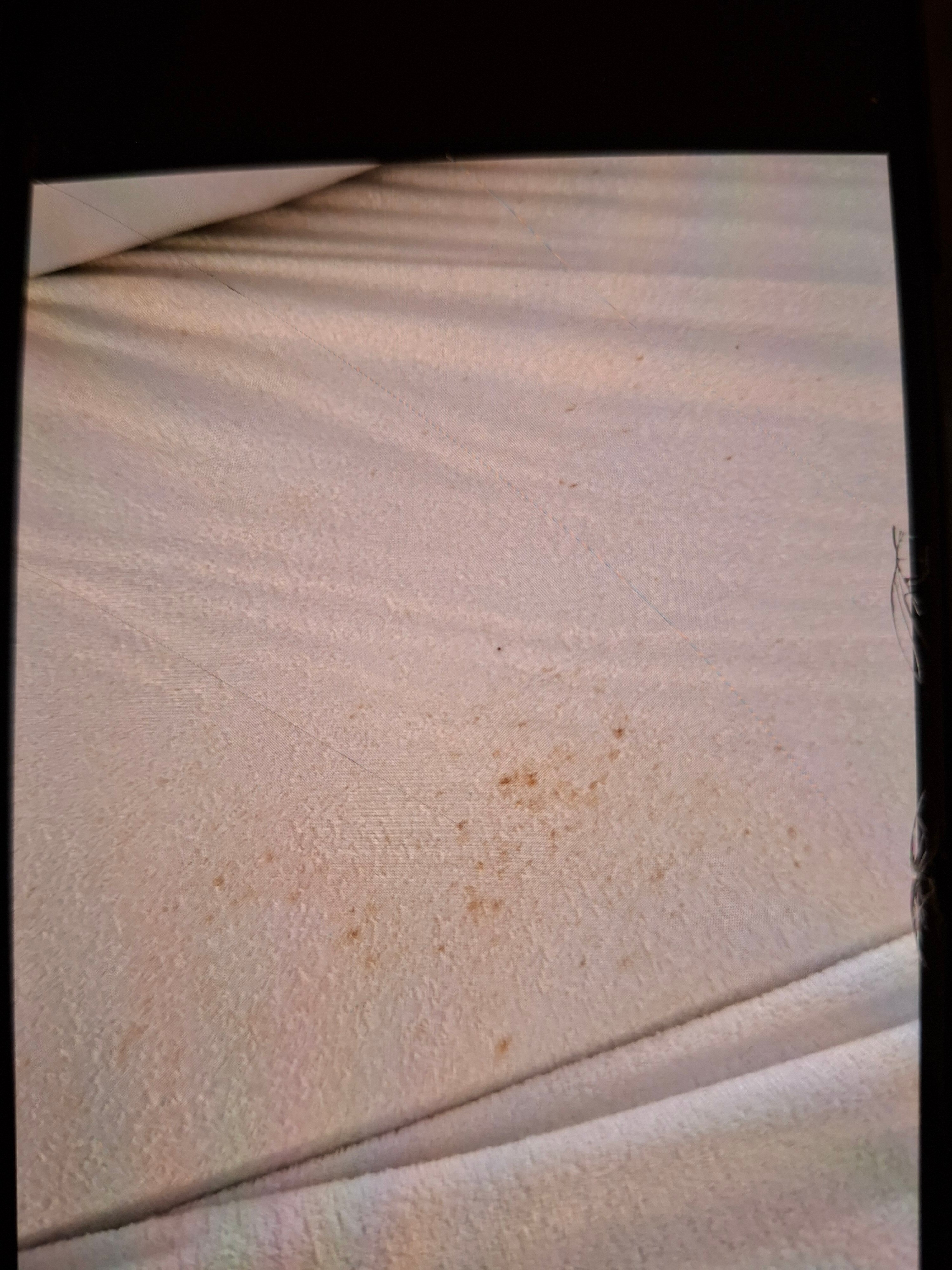 Aiden By Best Western Stadtgut Hotel Steyr-官方