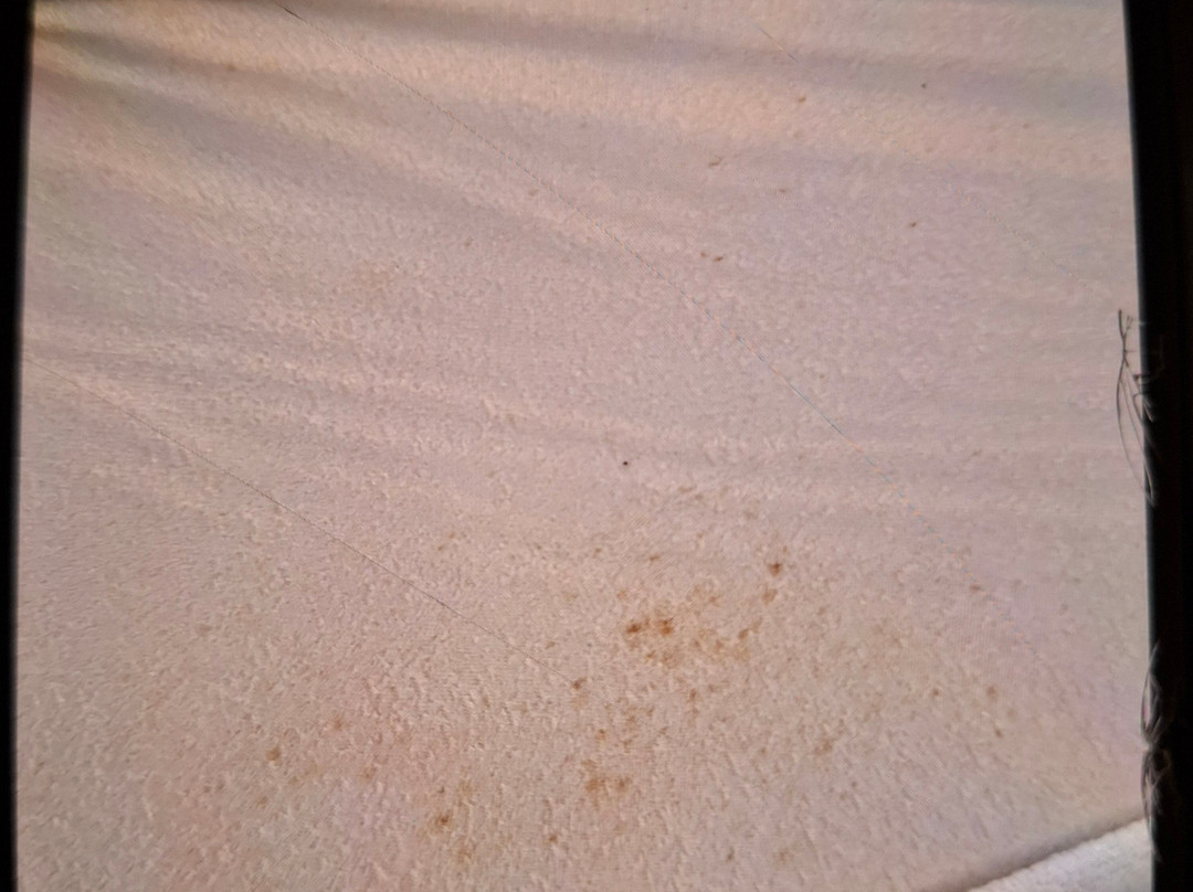 Aiden By Best Western Stadtgut Hotel Steyr主图