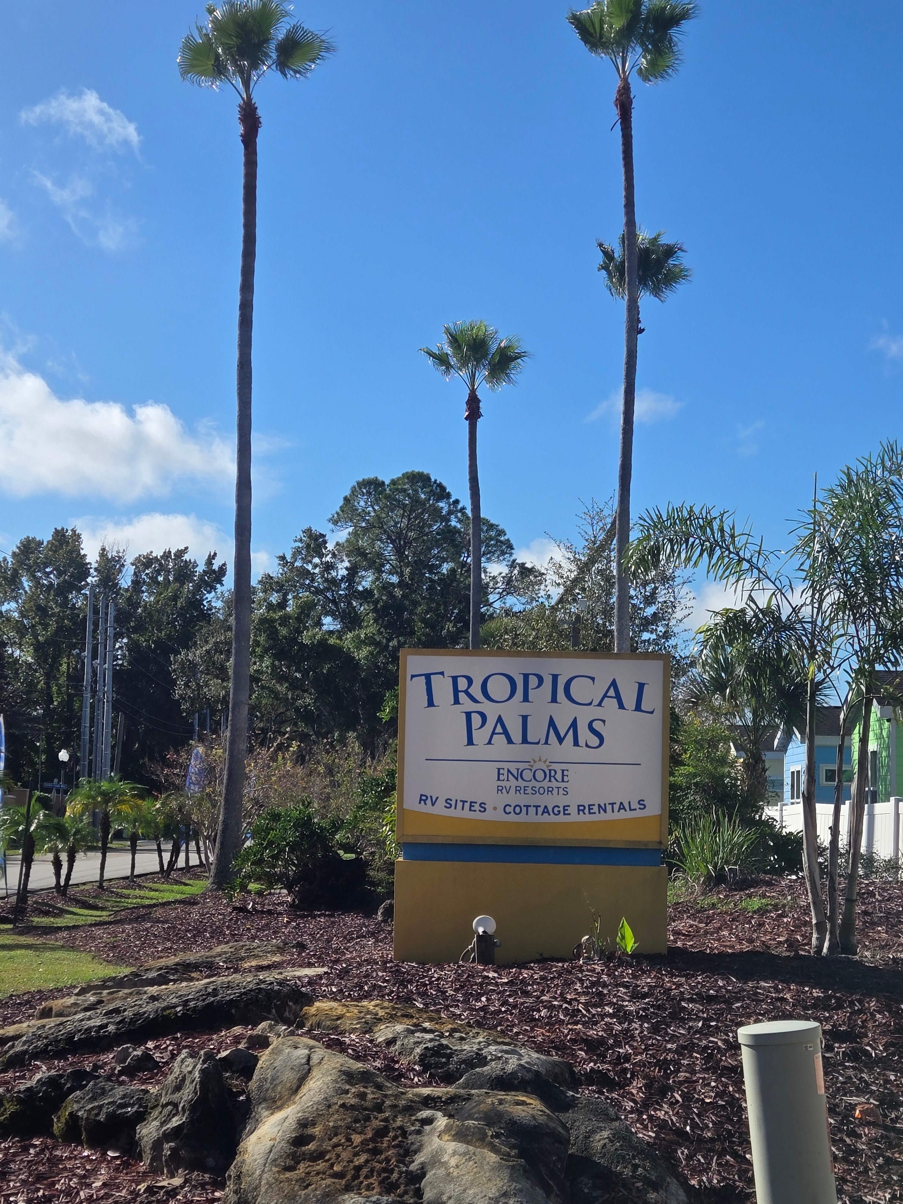 Encore Tropical Palms-官方