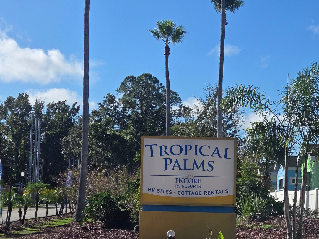 Encore Tropical Palms主图